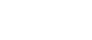 celebrity accidents white logo